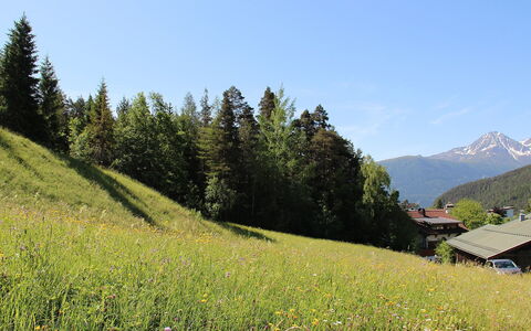 Lueg Ins Land: Himmel, Plante, Blomst, Bjerg, Plantesamfund, Natur, Blad, Naturlige Landskab, Hældning, Vegetationen