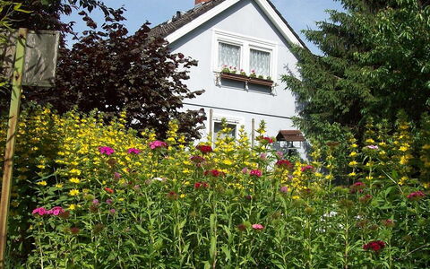 Allmendgasse: Blomst, Plante, Bygning, Vindue, Himmel, Hus, Naturlige Landskab, Træ, Gul, Sommerhus