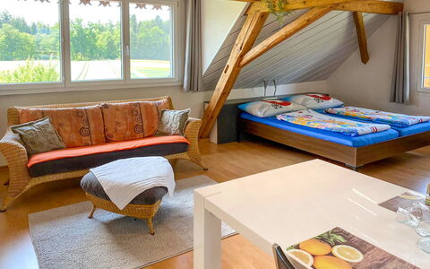 Feriebolig:&nbsp;Arn'S Dachstudio 100.3
