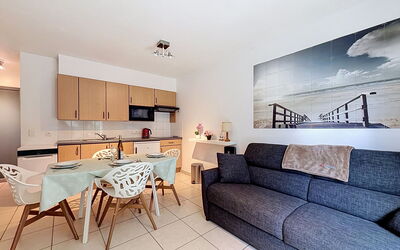 Feriebolig:&nbsp;Biaritz with Pool & Parking 300.45