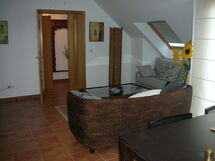 Palmeira Iii