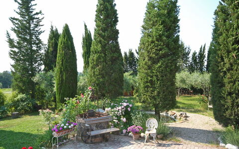 Casa Cipressi: Træ, Thuya, Ejendom, Plante, Have, Busk, Biome, Vedplante, Evergreen, Græs