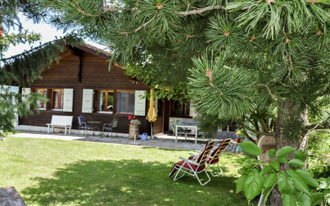 Himmulriich: Plante, Plantesamfund, Botanik, Bygning, Blad, Arecales, Skygge, Vegetationen, Udendørs Møbler, Træ