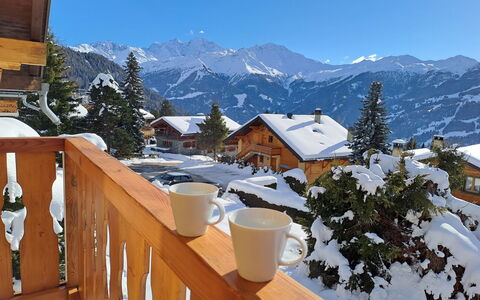 Verbier 390: Himmel, Bjerg, Bygning, Sne, Ejendom, Natur, Hus, Træ, Træ, Sky