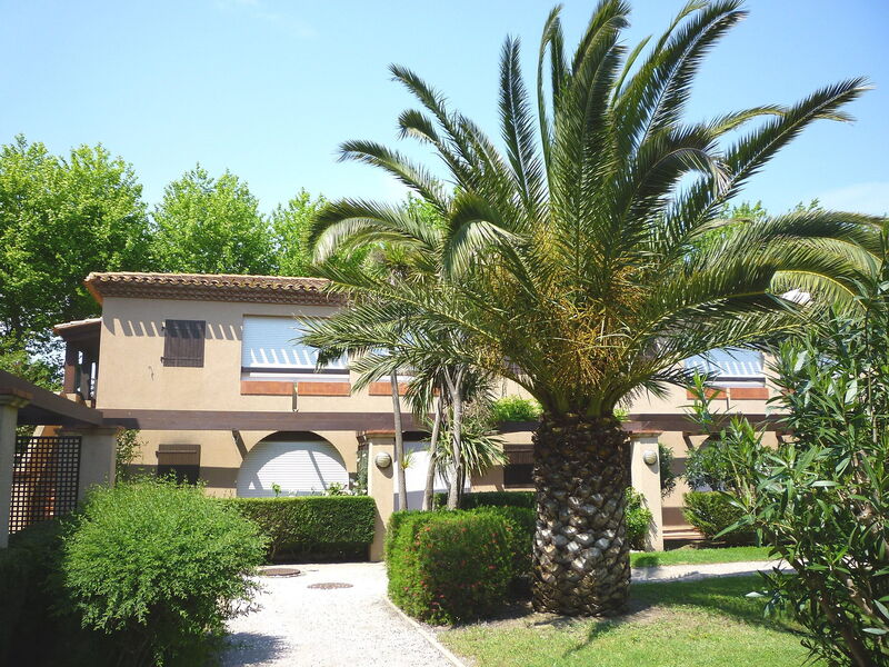 Saint Cyprien 160