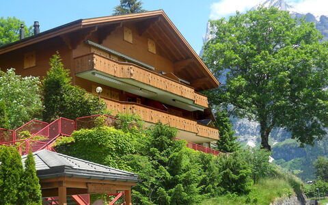 Firstsunne: Plante, Himmel, Sky, Bygning, Natur, Træ, Vegetationen, Træ, Hus