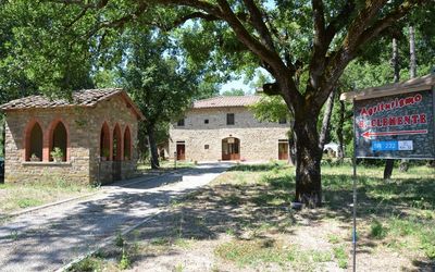 Agriturismo San Clemente - Panzano in Chianti, Toscana, Italien - Malvasia
