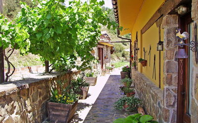 Potes Viñon