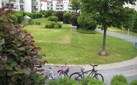 Kamelienweg: Cykel, Grøn, Græs, Have, Lawn, Boligområde, Gård, Kvarter, Ejendom, Urban Design