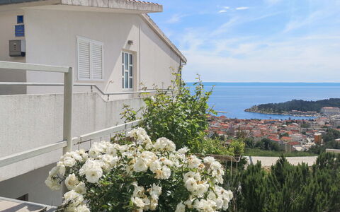 Makarska 592: Blomst, Sky, Himmel, Plante, Ejendom, Bygning, Vindue, Vand, Hus, Træ