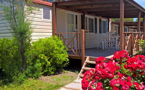 Cecina 250: Blomst, Plante, Ejendom, Vindue, Bygning, Himmel, Sky, Skygge, Træ, Sommerhus