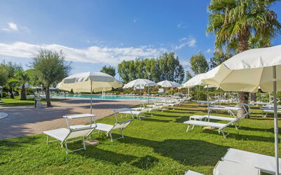 Cecina 250