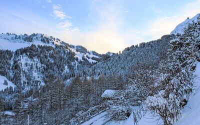 Chalet les 3 Marmottes