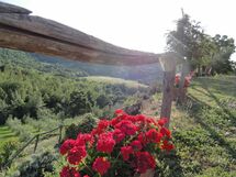 Podere Torremozza