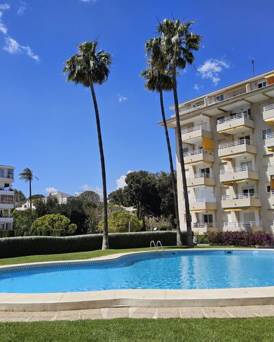 Altea 210