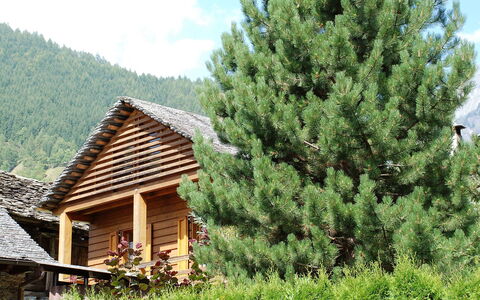 Rustico Fortuna: Træ, Vegetationen, Tag, Biome, Ejendom, Hus, Bjælkehytte, Evergreen, Sommerhus, Plante