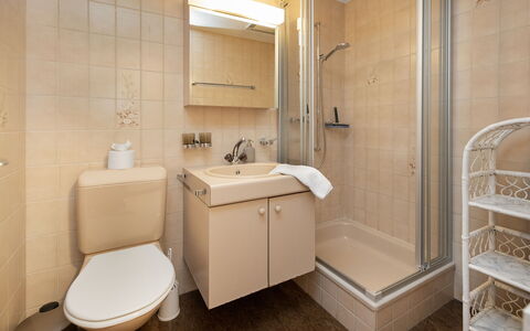 Chalet Sunneblick: Badeværelse, Badeværelsesvask, Sanitærarmatur, Håndvask, Væg, Gulvbelægning, Indretning, Etage, Toilet, Tap
