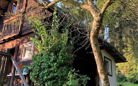 Reserl: Plante, Bygning, Træ, Grøn, Afdeling, Vindue, Botanik, Blomsterkrukke, Hus, Trappe