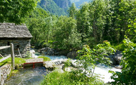 Rustico Dell'Orino: Vand, Himmel, Plante, Naturlige Landskab, Golfbane, Træ, Vegetationen, Land Lot, Highland