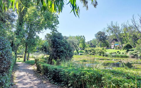 Le Luberon: Træ, Grøn, Natur, Naturligt Miljø, Vegetationen, Naturlige Landskab, Busk, Have, Plantesamfund, Bunddække