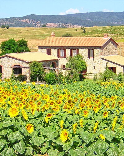 Casale Sugherino