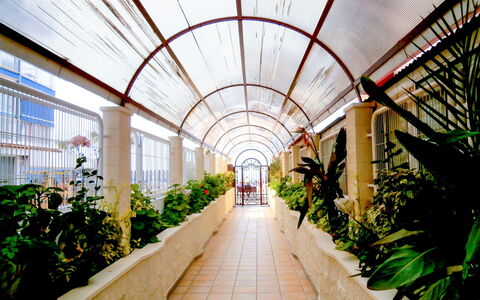 Las Damas: Walkway, Botanik, Bygning, Symmetry, Arkitektur, Plante, Fotografering, Have