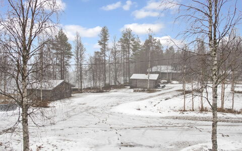 Suopursu: Træ, Vinter, Afdeling, Sne, Træ, Hus, Hjem, Kvist, Sommerhus, Fryser