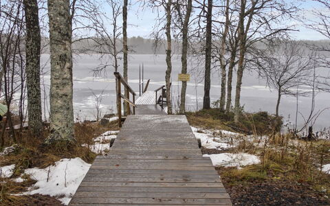 Suopursu: Træ, Afdeling, Naturlige Landskab, Bank, Boardwalk, Kvist, Dok, Bagagerum, Sø, Walkway