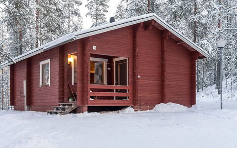 Viipusjärvi 11: Træ, Hjem, Vinter, Sommerhus, Fryser, Sne, Bjælkehytte, Sidespor, Lærk