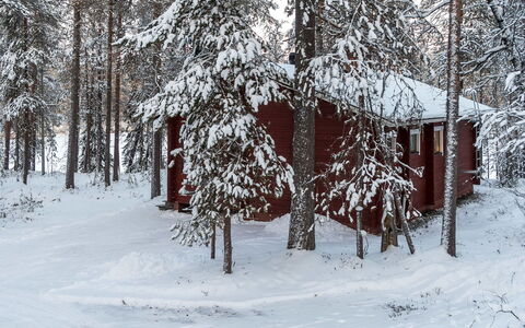 Viipusjärvi 11: Sne, Vinter, Afdeling, Træ, Sommerhus, Kvist, Fryser, Bagagerum, Skov