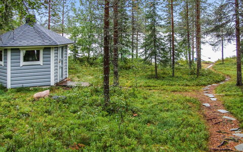 Kujalan Lomat 1: Træ, Græs, Naturligt Miljø, Natur, Vegetationen, Naturlige Landskab, Plantesamfund, Skov, Landskab