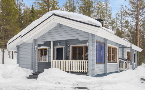 Piilola Nr 1: Træ, Sne, Tag, Vinter, Sommerhus, Hus, Hjem, Fryser, Sidespor, Hældning