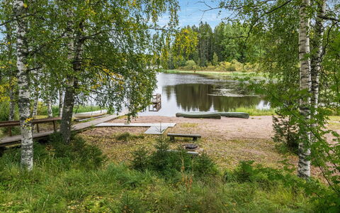 Koivuranta: Træ, Naturligt Miljø, Natur, Naturlige Landskab, Bank, Plantesamfund, Sø, Naturreservat