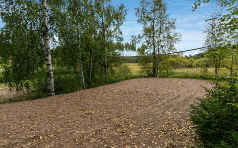 Koivuranta: Træ, Blad, Naturligt Miljø, Græs, Naturlige Landskab, Sti, Almindeligt, Skov, Jord