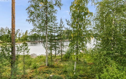 Tiira: Træ, Sne, Vinter, Sommerhus, Fryser, Hjem, Bjælkehytte, Lærk, Sidespor