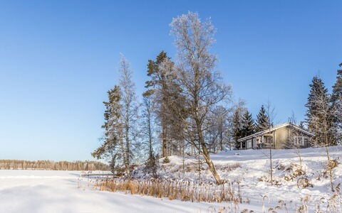 Iltarusko: Blå, Afdeling, Træ, Vinter, Sne, Kvist, Landskab, Fryser, Sommerhus, Morgen