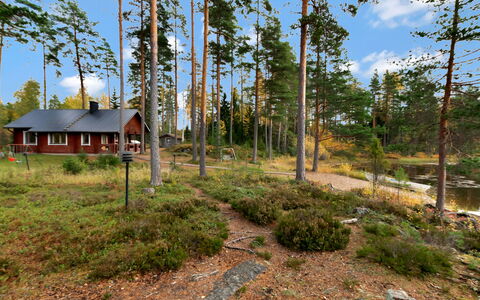Kuusikumpu: Træ, Sne, Vinter, Sommerhus, Fryser, Hjem, Bjælkehytte, Lærk, Sidespor