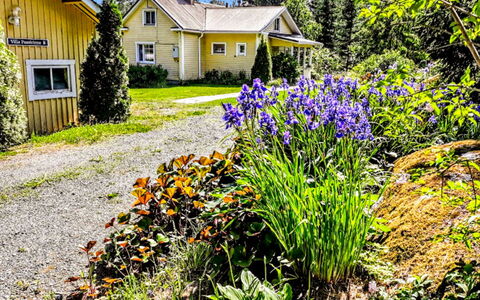 Villa Paasirinne B: Blomst, Grøn, Hus, Busk, Hjem, Have, Sommerhus, Tag, Bunddække