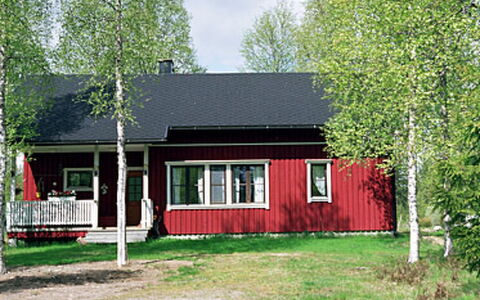 Mustikkainen