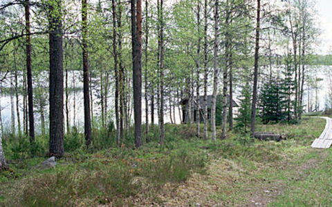 Mustikkainen: Træ, Sne, Vinter, Sommerhus, Fryser, Hjem, Bjælkehytte, Lærk, Sidespor
