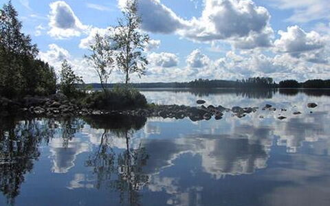 Kuikka: Træ, Sne, Vinter, Sommerhus, Fryser, Hjem, Bjælkehytte, Lærk, Sidespor