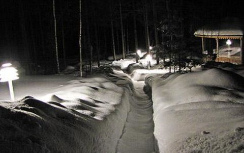 Kuikka: Træ, Sne, Vinter, Sommerhus, Fryser, Hjem, Bjælkehytte, Lærk, Sidespor