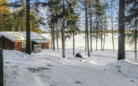 Ylikitkajärvi, Kesäkumpu: Træ, Sommerhus, Bjælkehytte, Skov, Skur, Garden Bygninger, Lærk, Woodland, Bejdse