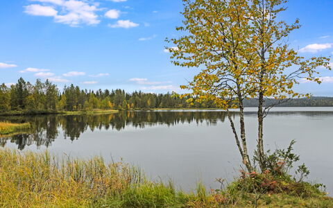 Varilan Lomamajat Nr1: Vand, Vandressourcer, Grøn, Krop Af Vand, Natur, Naturligt Miljø, Træ, Naturlige Landskab, Blad