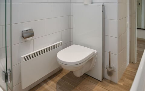 Diure 0113: Gulvbelægning, Toilet, Toiletbræt, Etage, Badeværelse, Sanitærarmatur, Vvs, Flise