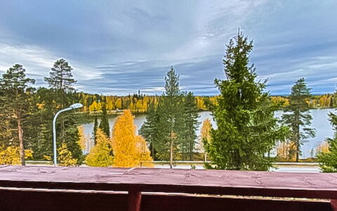 Länsirinne C 12: Lærk, Evergreen, Aften, Pine Family