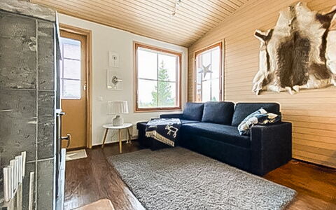 Länsirinne C 12: Møbel, Gulvbelægning, Indretning, Etage, Couch, Træ, Stue, Trægulve, Loft, Værelse