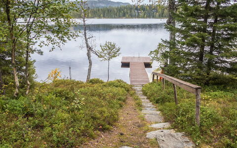 Rukatörmä, Kesäjärvi: Vand, Krop Af Vand, Naturlige Landskab, Bank, Ødemark, Sø, Dok, Skov, Naturreservat, Reservoir