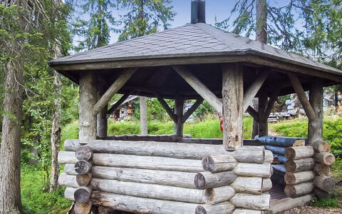 Seitsemän Savua 6: Træ, Sommerhus, Bjælkehytte, Skov, Skur, Garden Bygninger, Lærk, Woodland, Bejdse