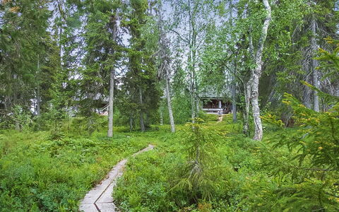 Seitsemän Savua 6: Træ, Sommerhus, Bjælkehytte, Skov, Skur, Garden Bygninger, Lærk, Woodland, Bejdse